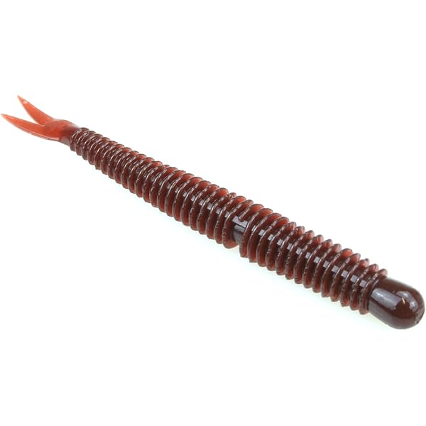 Amazon.co.jp: 本山博之スモール完全バイブル: スモールマウス